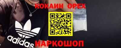 стафф Донской