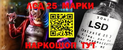 МДПВ Донецк