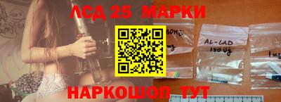 стафф Донской