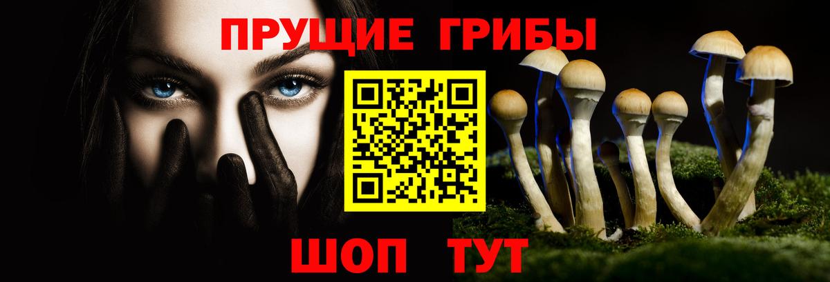 Псилоцибиновые грибы мицелий  Галлюциногенные грибы мицелий  Заринск  Вход с VPN 